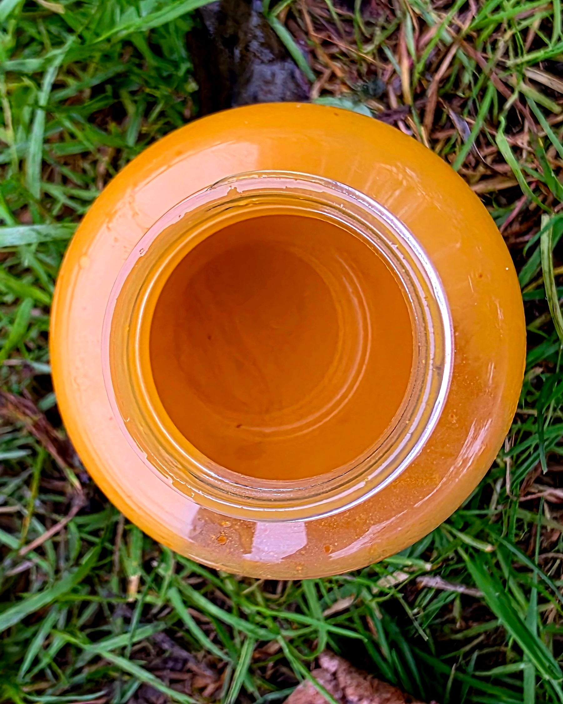 Heckenkriecher Liquid-Dip