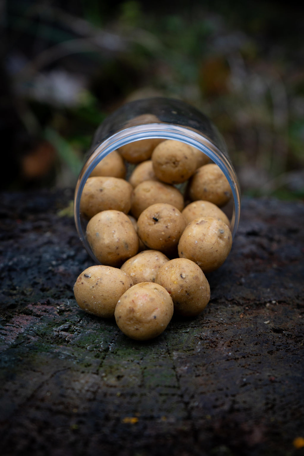 Heckenkriecher Hooker