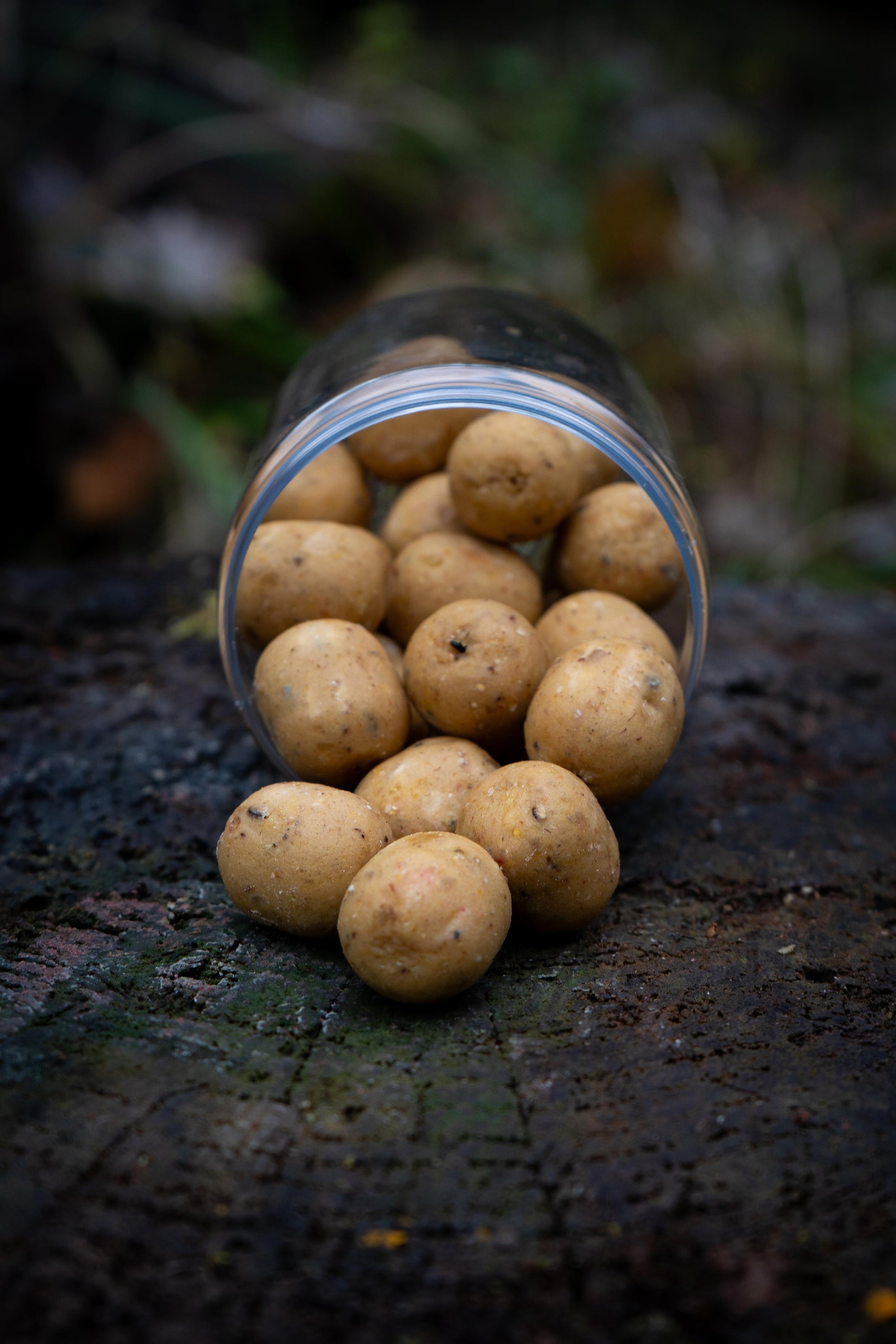 Heckenkriecher Hooker